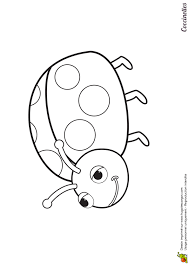 page 16 sur 25 hugolescargot com coloriage coccinelle papillon princesse lillifee gratuit