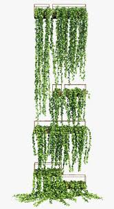 Planter Box Ivy 2 3d Model Architectural Plants Plants Planters