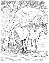 Imaginez une pomme sur l'étagère du supermarché entre. Coloriage Chevaux Dans La Foret Dessin Gratuit A Imprimer