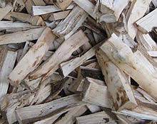 Kayu gaharu bagi sebagian orang dipercaya sebagai kayu ajaib yang berasal dari surga. Agarwood Wikipedia