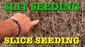 This method is less expensive and easier to maintain. Slit Seeding And Slice Seeding A Yard Youtube