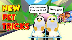 Neon penguin adopt me roblox releasetheupperfootage com releasetheupperfootage com. Every New Pet Penguin Trick Roblox Adopt Me Pets Youtube