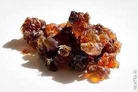 Image result for Commiphora kua