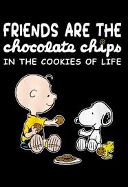 Pin By Tatjana Jerz On Snoopy And The Gang 5 Snoopy Funny Snoopy Quotes Snoopy Images