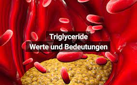 Triglyceride Normalwerte Und Bedeutungen Praktischarzt