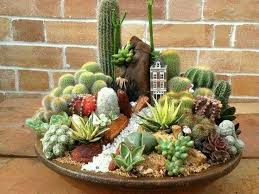 Cactus Succulent Dish Mini Home Garden Succulents Succulents Diy Plants