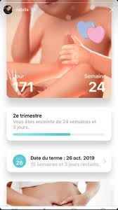 Grossesse pourquoi calculer le terme en semaines d amenorrhee. Nabilla Enceinte Elle Revele La Date Du Terme De Sa Grossesse Photo
