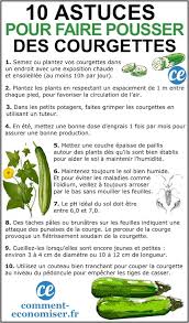 Epingle Sur Plantes