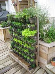 Cut around the base of one soda bottle. Build A Vertical Garden From Recycled Soda Bottles Diy Projects For Everyone Vertical Garden Diy Vertical Garden Indoor Vertical Garden