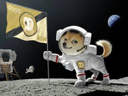 Elon musk is one of the big reasons doge has soared. Elon Musk S Dogecoin Tweets Investigated By Sec The Independent