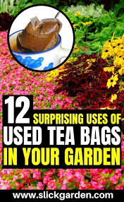 We did not find results for: Pin On Gardening