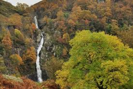 Our cabins are dotted organically around a corner of this beautiful forest where the natural world feels closer than ever before.â. 29 Places In Wales That Could Be Straight Out Of A Fairytale Wales Online