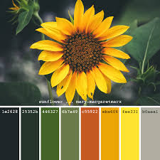 Sunflower Mary Margaretmarx Color Colors Colour Colours Colorpalette Colorpalettes Palette Pantone Colour Palettes Sunflower Colors Pantone Palette