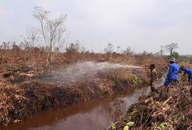 35 hektar Hutan Simpan Kuala Langat ...