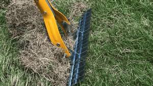 How to dethatch a lawn. When Is The Best Time To Dethatch Your Lawn Workhabor Helping You Create Your Dream Yard
