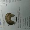 Pepatah biasanya digunakan atau diucapkan untuk mematahkan argumen dari lawan bicara. Https Encrypted Tbn0 Gstatic Com Images Q Tbn And9gcr7fuhbr0l3bq8htgc1keqcyjh U4betvdu22lym Gm3llgd0nx Usqp Cau
