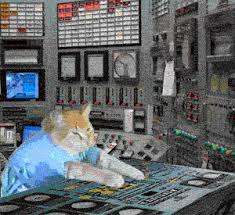 How to get and set up bongo cat cam v2! Keyboard Cat Gifs Get The Best Gif On Giphy