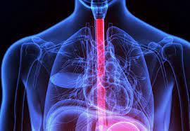 Chest Pain Is It Heart Attack Or Nutcracker Esophagus Health Essentials From Cleveland Clinic