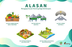 Harapan petani kalau seperti tahun 2011 itu memang bagus sekali. Cintai Hutan Demi Masa Depan Yang Lebih Cemerlang Ella Fitria