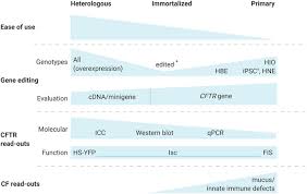 The number of mutations that a tumor has accumulated is itself a biomarker, referred to as tumor mutational burden (tmb). Frontiers On The Corner Of Models And Cure Gene Editing In Cystic Fibrosis Pharmacology