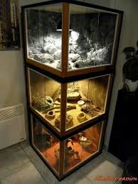Beardeddragoncagediy Beardeddragonpet Beardeddragonideas Snake Terrarium Terrarium Reptile Enclosure