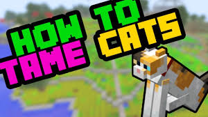 Building homes, farms, and dungeons in minecraft is a blast — but what's a dream world without your favorite feline friend? How To Tame Cats In Minecraft Survival 2019 And Breed Them Youtube