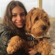 Wesley and Pebbles (@doubledoggiemom) • Instagram photos and videos