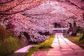 Pin On Places To Visit