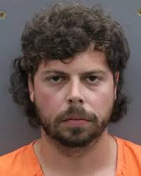 33-year-old JOHN GANS from LITHIA was booked