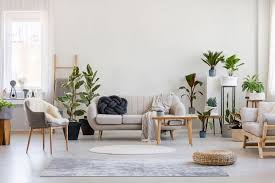 See more ideas about plants, planting flowers, indoor plants. How To Create A Plant Loving Home The Houseplant Urban Jungle Blog