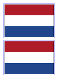 These have been the official colors since the 19th of february of 1937 when queen wilhelmina made the royal. Netherlands Flag Download This Free Printable Netherlands Template A4 Flag A5 Flag 8 And 21 Flags On One A4pa Flag Printable Netherlands Flag Flag Template