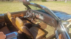 Image result for Sable Brown 1984 Chrysler