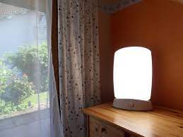 Price match guarantee enjoy free shipping and best selection of the natural light rectangular lamp that matches your unique tastes and budget. Natural Light Lamps For Sad