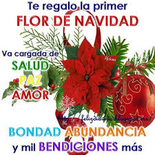 Primer Flor De Navidad Ver Mas Flor De Navidad Reflexiones De Navidad Feliz Navidad Amiga