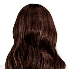 My hair is so dark. Deep Brown Hair Color Milano Brown Warm Auburn Undertones