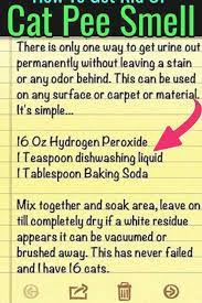We did not find results for: Where To Start To Clean And Get Rid Of Cat Pee Smell Cat Urine Smell Remover How To Get Rid Of Cat U Smell Remover Cat Urine Smells Household Cleaning Tips