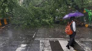 Heavy rain left a trail of fallen trees across Delhi. Here’s why