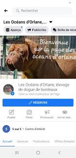 Check spelling or type a new query. Accueil Elevage Des Oceans D Orlane Eleveur De Chiens Dogue De Bordeaux