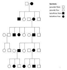 Understanding how the mutation causes neurodegeneration might help researchers develop. Chorea Huntington Erblicher Veitstanz