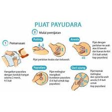 Pijat payudara adalah cara yang ampuh untuk bantu lancarkan asi ini sudah bisa dilakukan sejak 36 minggu dan paling pijat payudara mu agar sehat selalu #pijatpayudara #miripgisel #rbchanelns. Aimi Jogja On Twitter Moms Ini Gambar Pijat Payudara Untuk Membantu Melancarkan Asi Bisa Juga Untuk Payudara Yang Bengkak Yuk Dipraktekkan Https T Co Ydgy987sg0
