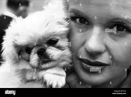 jayne Black and White Stock Photos & Images