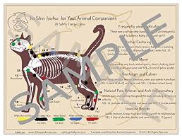 small double sided laminated jsj for your canine feline companion chart