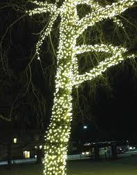 01 of 09 high voltage in the home Canadian Tire S Noma Christmas Lights Breaking And Burning Out Installers Say Cbc News