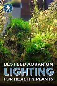 Best Led Aquarium Lighting For Healthy Plants Aquarium Lighting Led Aquarium Lighting Healthy Plants