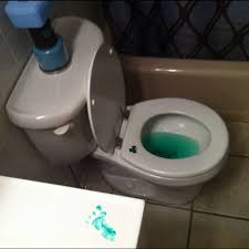 Food Coloring In The Toilet Leprechaun Pee Lucky Day Cool Kids Leprechaun