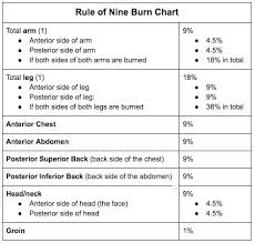Burns In Adults The Rule Of Nine Chart