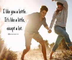 25 I Like You Quotes To Express Your Affection For That Special Someone Sayingimages Com