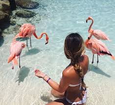ǁ Aestheticvibes101 ǁ Pretty In Pink Girl Tumblr Animal Flamingo Beach Sea Ocean Vacation Summer Vacation Summer Aesthetic Summer Vibes