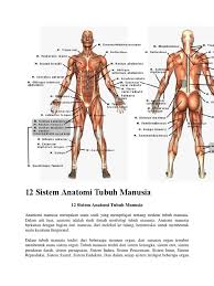 Sistem peredaran darah terbuka artinya dalam peredarannya, darah dan cairan lainnya tidak selamanya beredar atau berada di dalam pembuluh darah. 12 Sistem Anatomi Tubuh Manusia