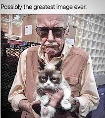 Grumpy Stan Lee
